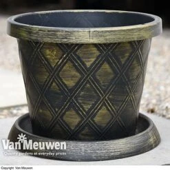 Patio Pot Black And Gold