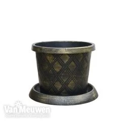 Tower Pot™ Black & Gold -Fresh Planty Shop TOWE V48803 B