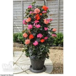 Tower Pot™ Black & Gold -Fresh Planty Shop TOWE V48803P C