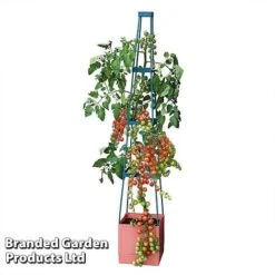 Garden Grow Self Watering 4 Tier Tomato Tower -Fresh Planty Shop TOWE TOMSELFWA T045925
