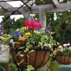 Garden Grow Hanging Basket & Liner -Fresh Planty Shop basket21