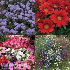 Summer Bedding Collection 7 Summer Bedding Collection -Fresh Planty Shop pic33