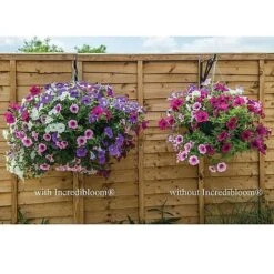 Incredibloom® Fertiliser -Fresh Planty Shop z INCR T47963 B h