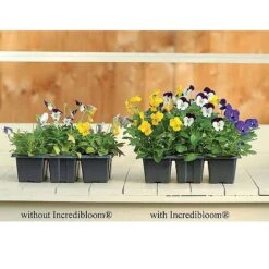 Incredibloom® Fertiliser -Fresh Planty Shop z INCR T47963 C h