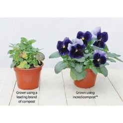 Incredicompost® -Fresh Planty Shop z INCR T56335 C h